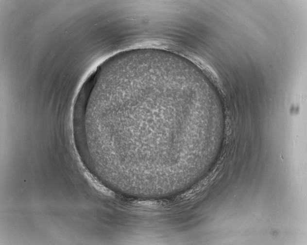 X0000093720792200711131012