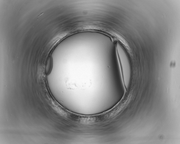 X0000093720793200711131012