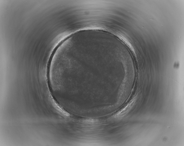 X0000093720797200711131012