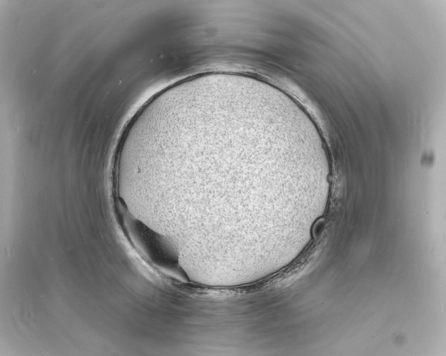 X0000093720803200711131012