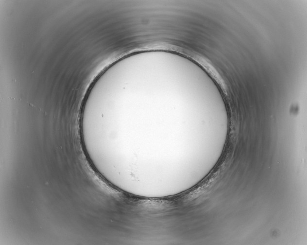 X0000093720805200711131012