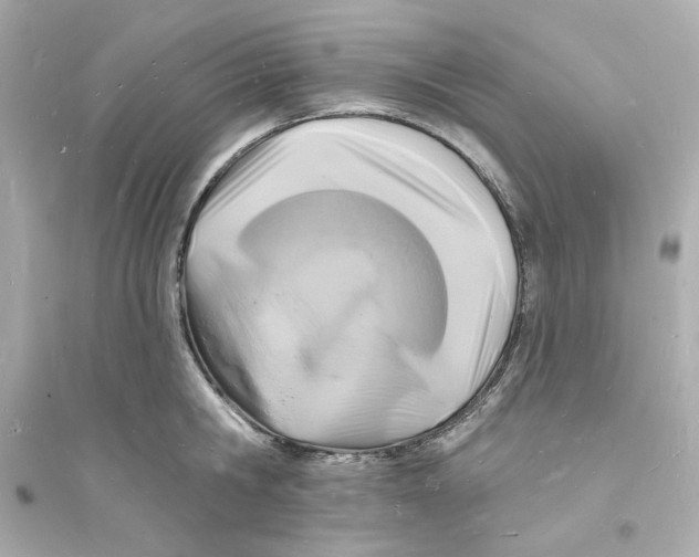 X0000093720806200711131012