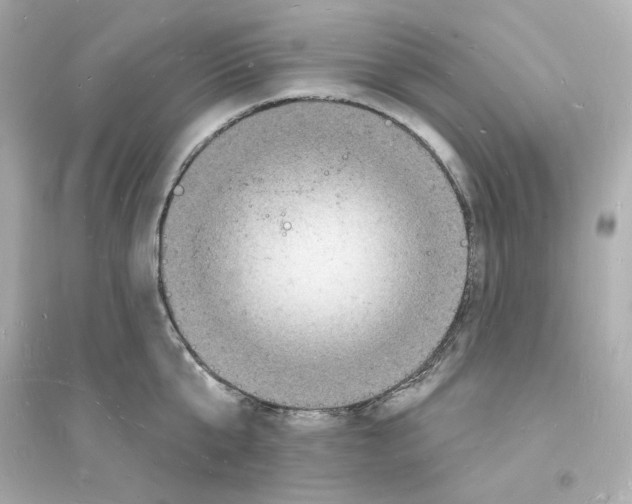 X0000093720807200711131012