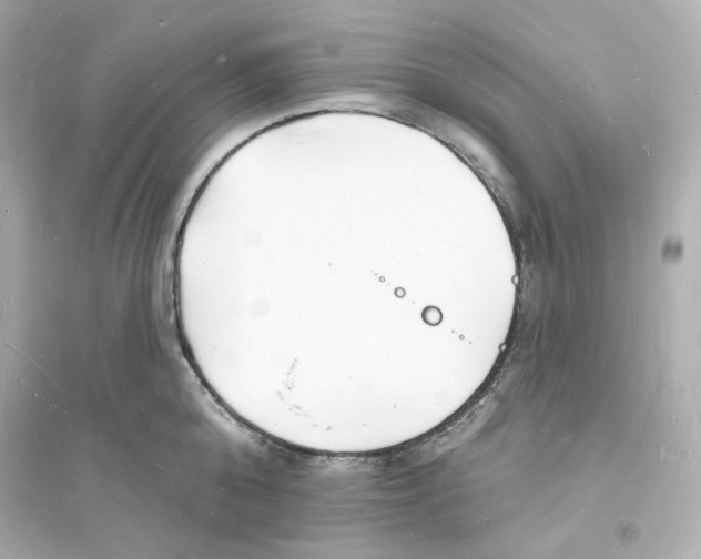 X0000093720808200711131012