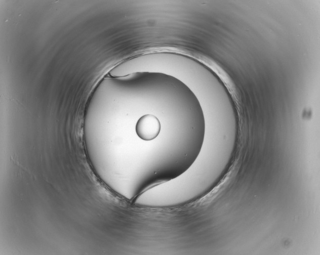 X0000093720809200711131012