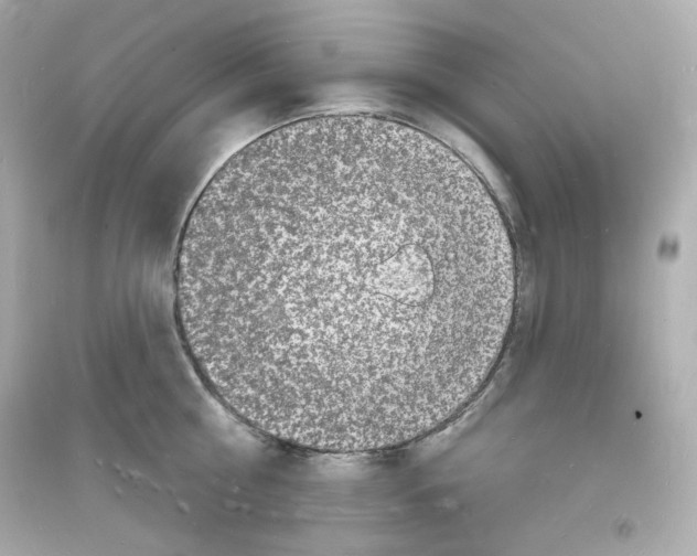 X0000093720810200711131012