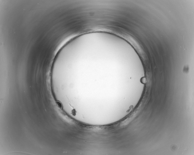 X0000093720814200711131012