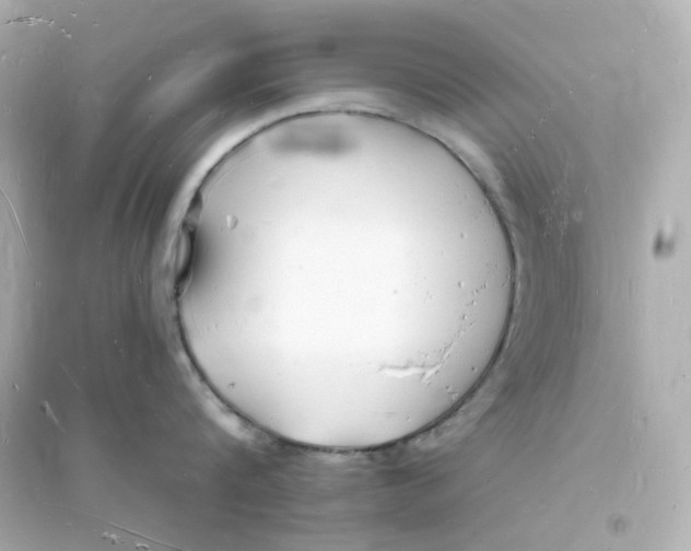 X0000093720816200711131012