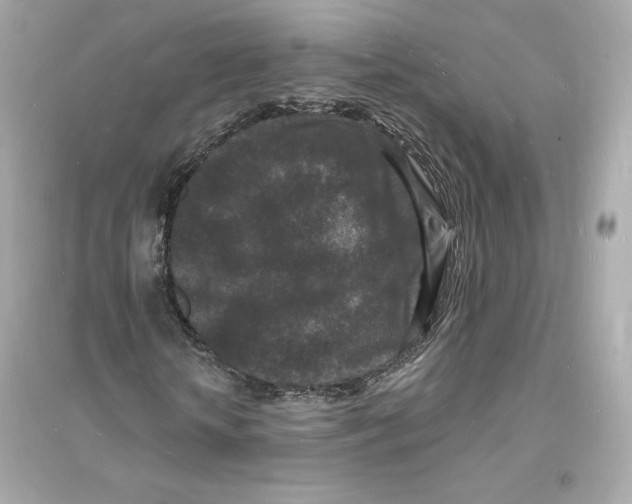 X0000093720818200711131011