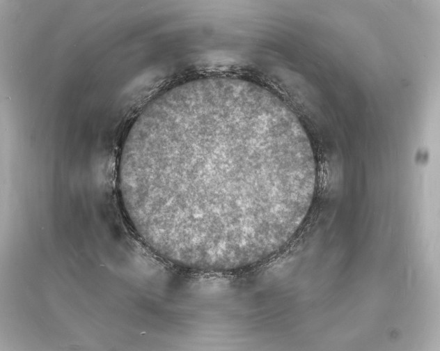 X0000093720820200711131011