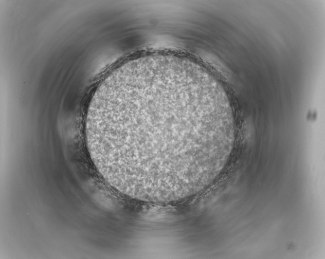 X0000093720824200711131011