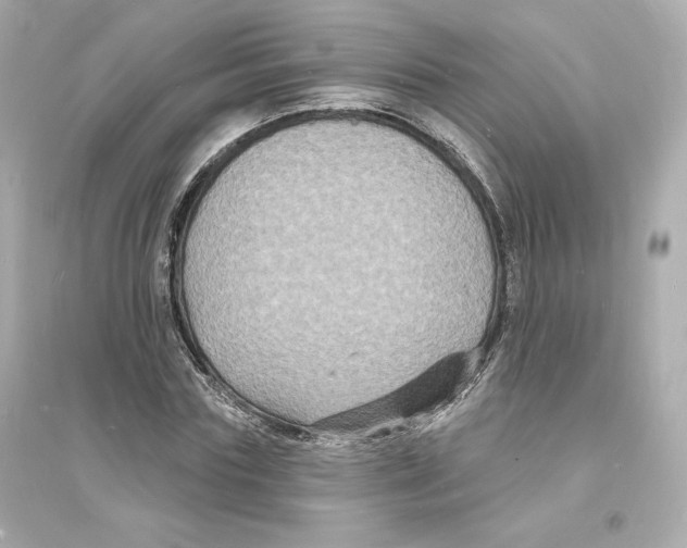 X0000093720827200711131011