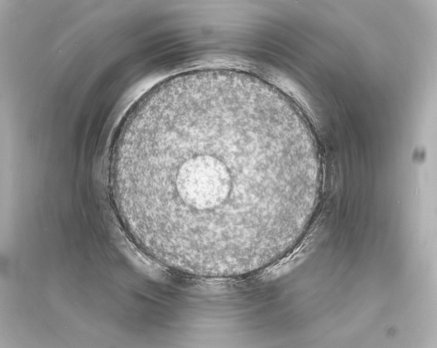 X0000093720828200711131011