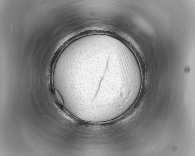 X0000093720829200711131011