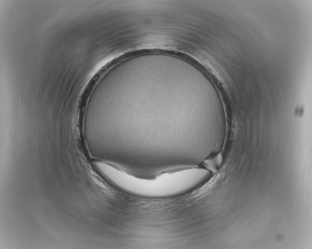 X0000093720830200711131011