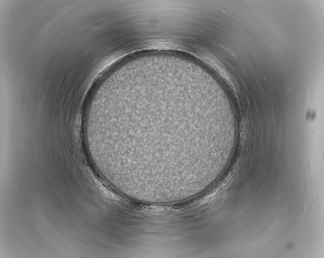 X0000093720831200711131011