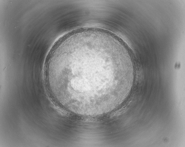 X0000093720832200711131011