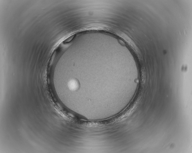 X0000093720834200711131011