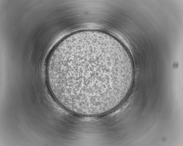 X0000093720835200711131011