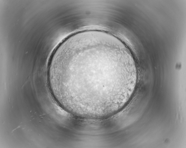 X0000093720836200711131011