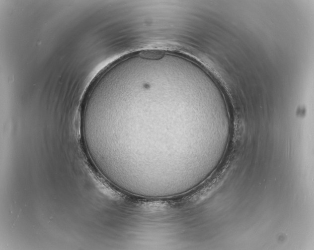 X0000093720838200711131011