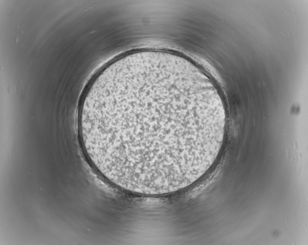 X0000093720839200711131011