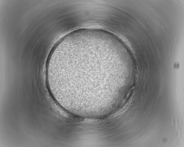 X0000093720840200711131011