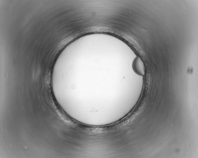 X0000093720841200711131011