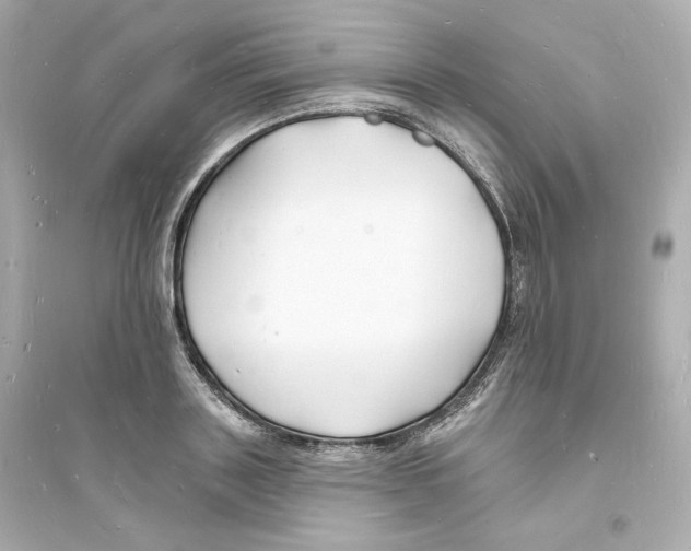 X0000093720843200711131011