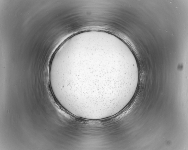 X0000093720844200711131011