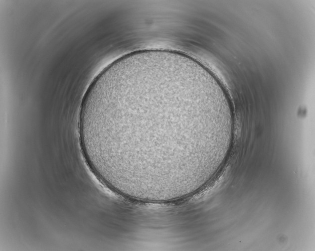 X0000093720847200711131011