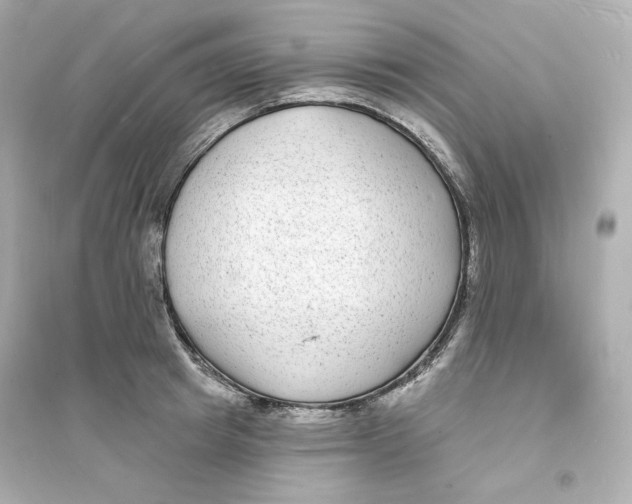 X0000093720849200711131012