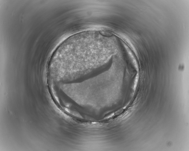 X0000093720851200711131012