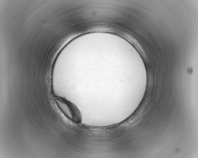 X0000093720852200711131012