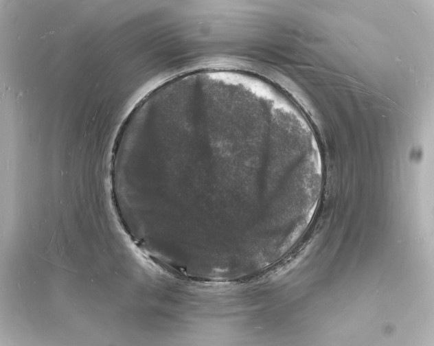 X0000093720853200711131012