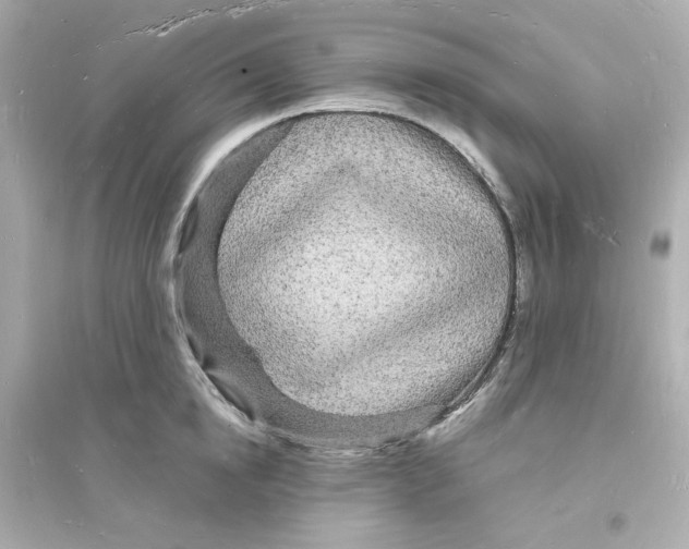 X0000093720854200711131012