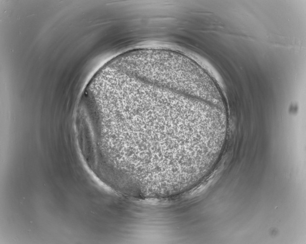 X0000093720855200711131012