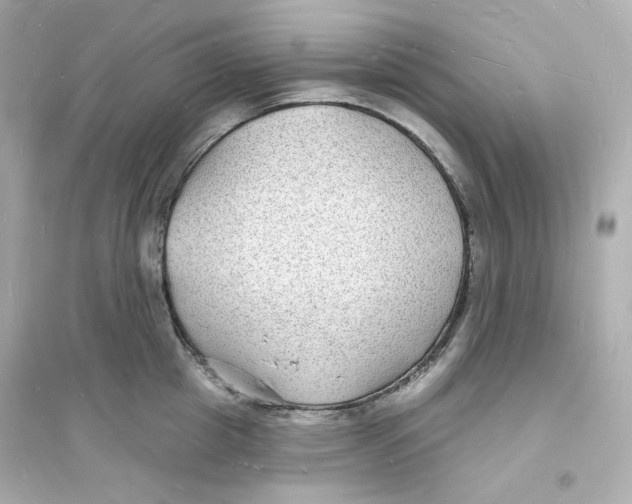 X0000093720857200711131012