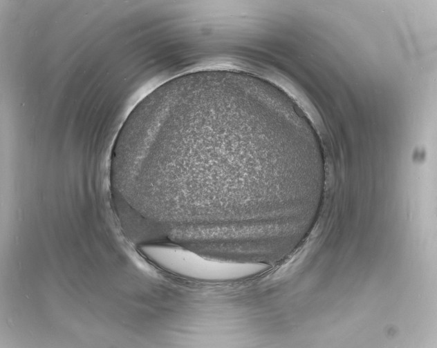 X0000093720858200711131012