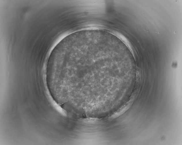 X0000093720859200711131012