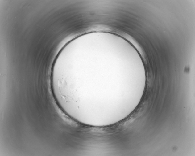 X0000093720861200711131012