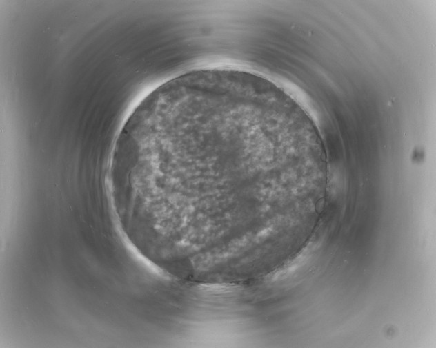 X0000093720863200711131012