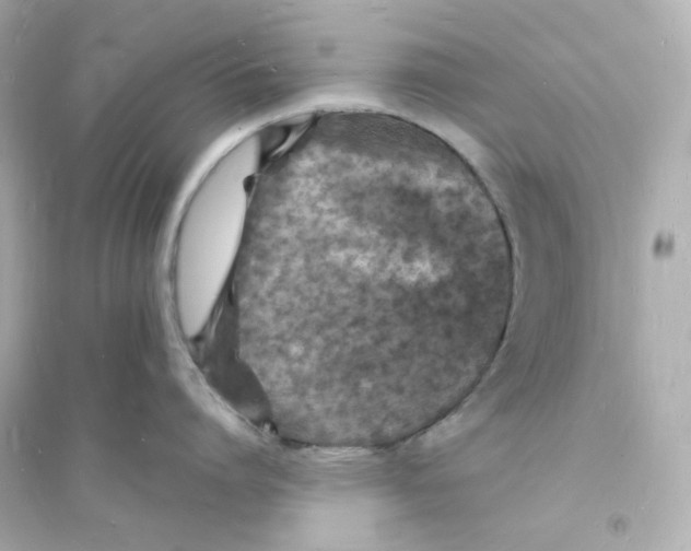 X0000093720864200711131012