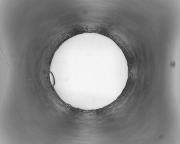 X0000093720865200711131011