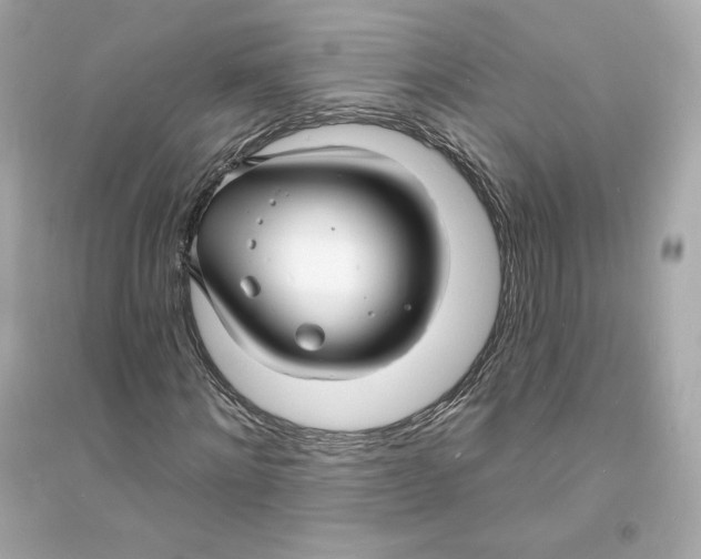 X0000093720868200711131011