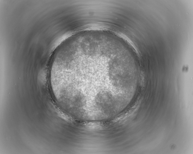 X0000093720874200711131011