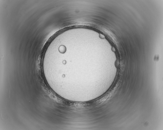 X0000093720875200711131011