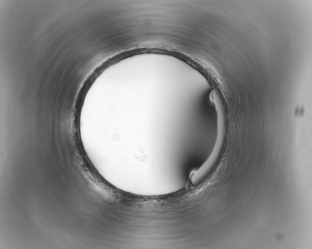 X0000093720880200711131011