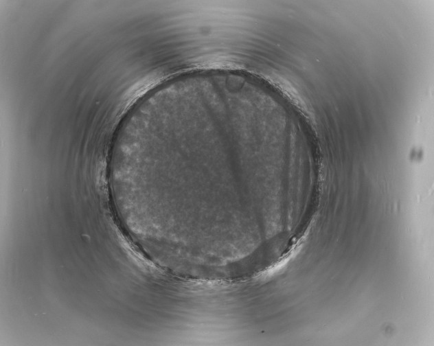 X0000093720881200711131011