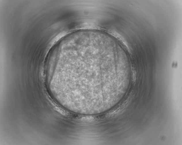 X0000093720882200711131011